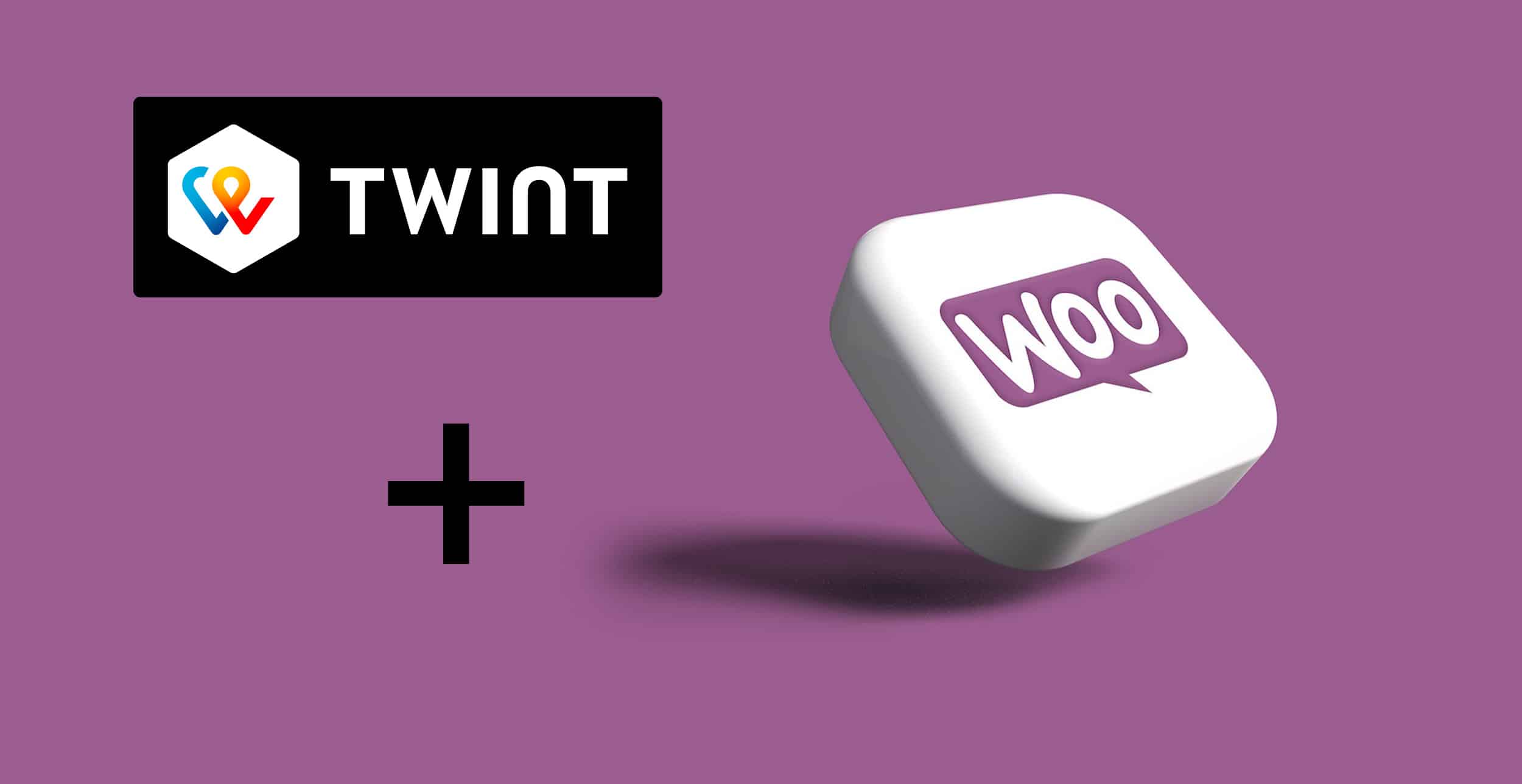 Die Optimale WooCommerce und Twint Integration